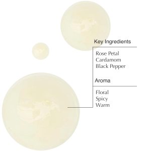 Aesop A Rose By Any Other Name Body Cleanser Refill | Gentle Body Cleanser with Rose Petal Oil & Skin-Softening Botanicals | 16.9 oz / 500mL