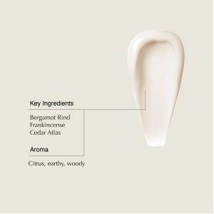 Aesop Shampoo & Conditioner Set | Hydrates. Softens. & Adds Shine | All Hair Types | 16.9 oz / 500mL