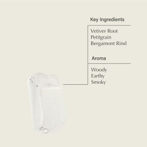 Aesop Reverence Aromatique Hand Wash (16.9 oz) + Eleos Aromatique Hand Balm (2.5 oz) | Hand Care Set to Exfoliate and Nourish | Set of 2