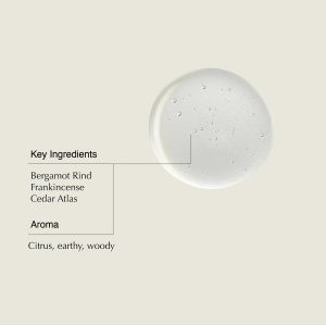 Aesop Shampoo & Conditioner Set | Hydrates. Softens. & Adds Shine | All Hair Types | 16.9 oz / 500mL