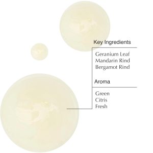 Aesop Geranium Leaf Body Cleanser Refill | Invigorating Gentle Cleansing Gel | Green. Citrus. Fresh | 16.9 fl oz (Pack of 3)