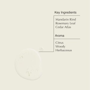 Aesop Resurrection Aromatique Hand Wash | Gentle Cleanser with Orange. Rosemary and Lavender Oils | 500mL / 16.9 oz (Pack of 3)