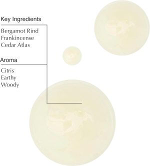 Aesop Geranium Leaf Body Cleanser and Shampoo | Paraben. Cruelty-free & Vegan | 16.9 oz