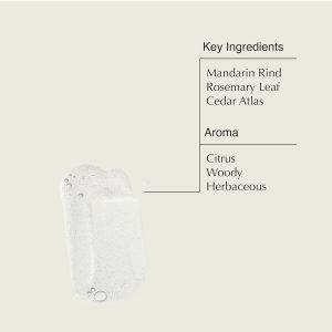 Aesop Resurrection Aromatique Hand Soap. Geranium Leaf Body Wash| Paraben. Cruelty-free & Vegan | 16.9 oz