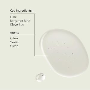 Aesop Sculpt Hair Polish | Gel to Shape. Add Structure. Volume | Citrus. Warm. Clean | 3.5oz /100mL