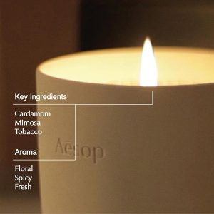 Aesop Aganice Aromatique Candle | Floral. Spicy. Fresh Scented | 55-65 Hour Burn Time | Vegan-Friendly | 10.5 oz