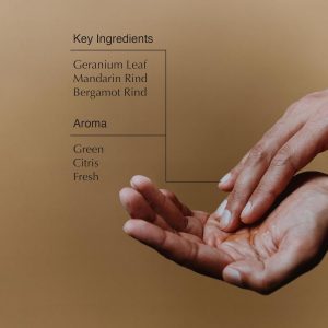 Aesop Geranium Leaf Body Cleanser + Refill | Invigorating Cleansing Gel | Alternative to Conventional Soap | 16.9 oz. Pack of 2