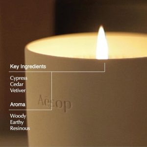 Aesop Ptolemy Aromatique Candle | Resinous. Earthy. Woody Scented | 55-65 Hour Burn Time | Vegan-Friendly | 10.5 oz