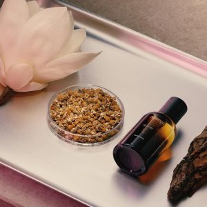 Aesop Aurner Eau de Parfum | Floral. Herbaceous. Fresh Unisex Fragrance | Floral Fragrance With Unexpected Contrasts | 1.6oz / 50mL