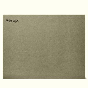 Bronze Incense Holder